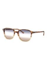 Rb 2193 1328gd 53 Unisex Güneş Gözlüğü
