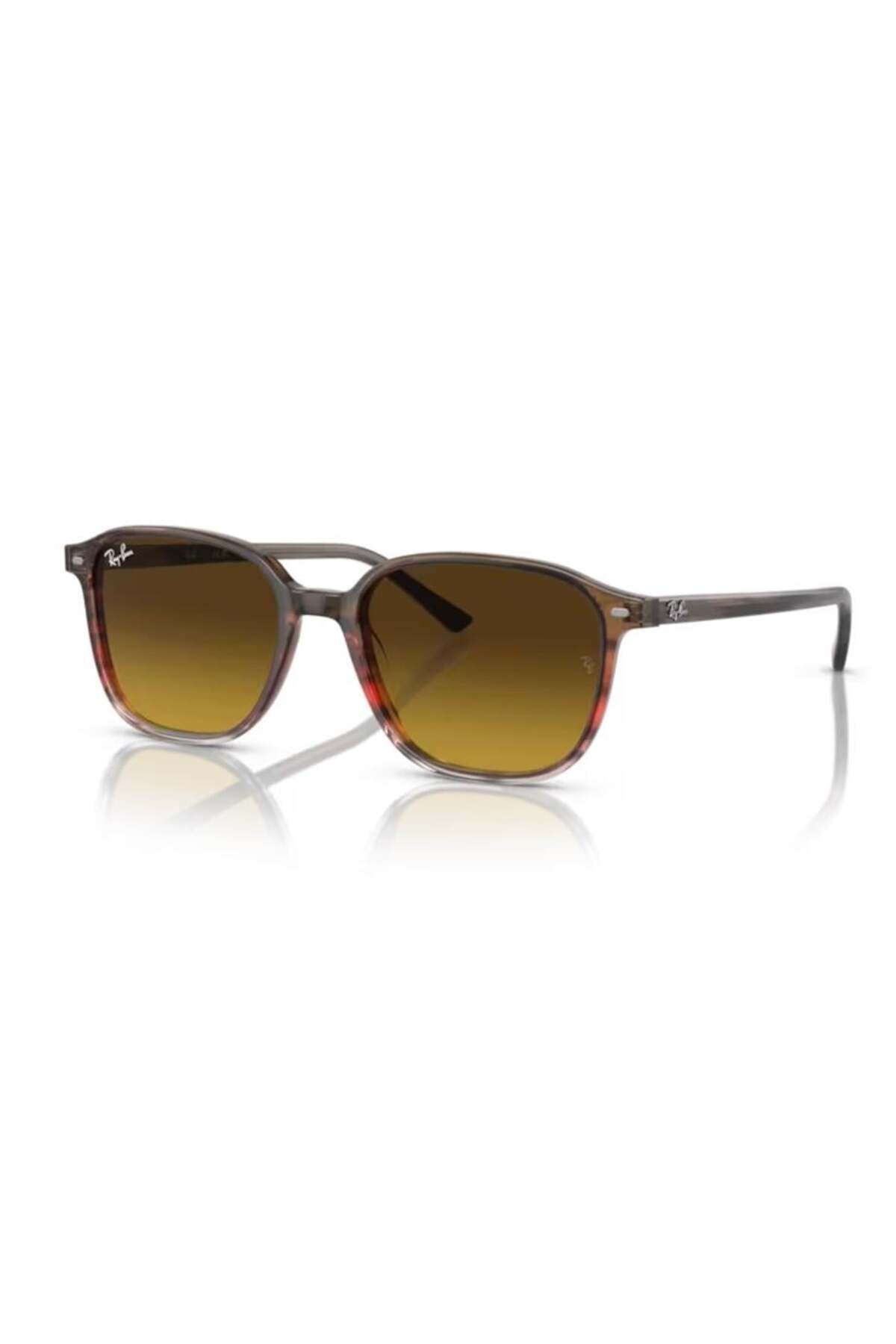 Rb 2193 138085 53 Unisex Güneş Gözlüğü
