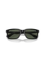 Rayban 4393m F65071 56 Erkek