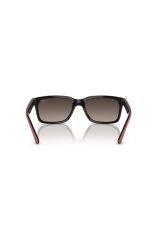 Rayban 4393 M F6015j 56 Erkek
